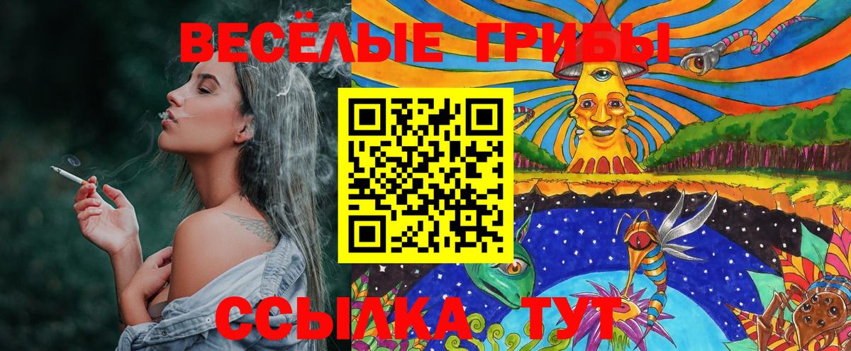 Галлюциногенные грибы Psilocybine cubensis  Вход с VPN  Кузнецк  Галлюциногенные грибы мухоморы 